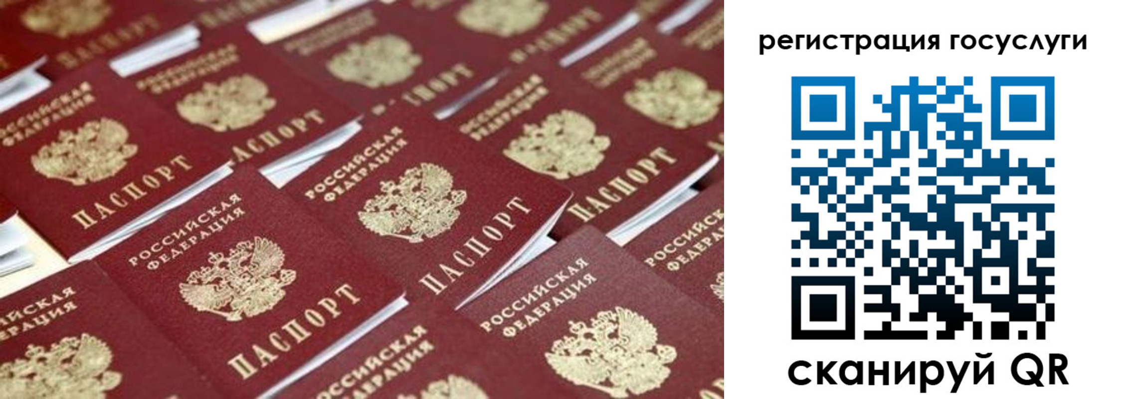 прописка ребенка в Светлограде