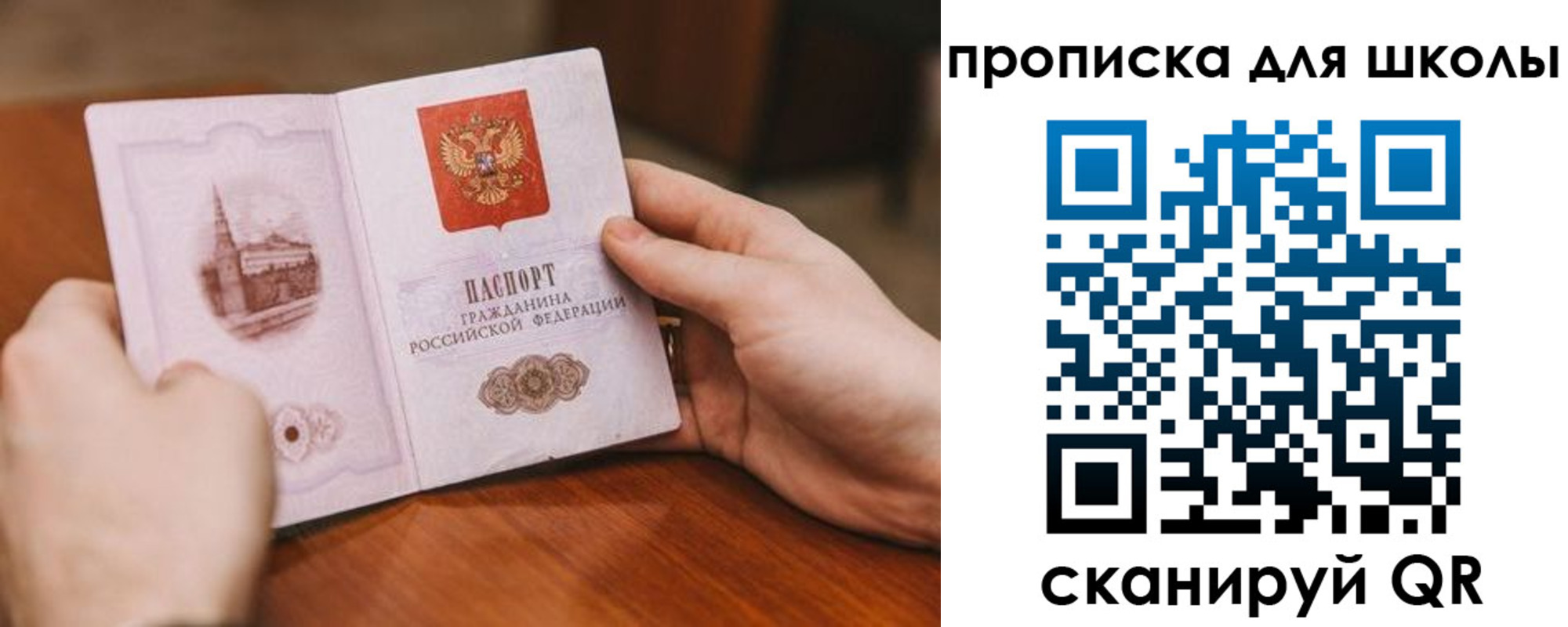 прописка в Светлограде